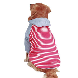 Autumn/Winter Large Dog Cotton Hoodie — Cozy, Stylish Hooded Jacket for Big Breeds like Golden Retrievers & Labradors - petcareville