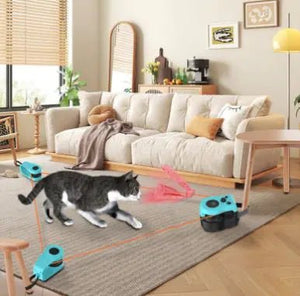 Interactive Remote Cat Toy — Automatic & Manual Feather Mouse Track Game, LCD Display, USB Rechargeable - petcareville