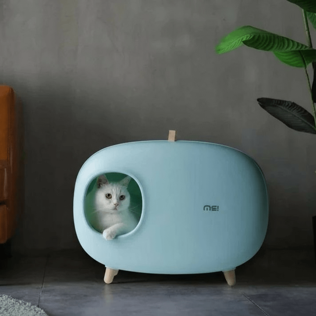 Cat peeking out from a light blue pet house