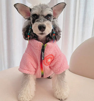 SnugPup Winter Coat — Warm Teddy Lamb Wool, England Design, Small Dogs & Cats, Adjustable L-3XL