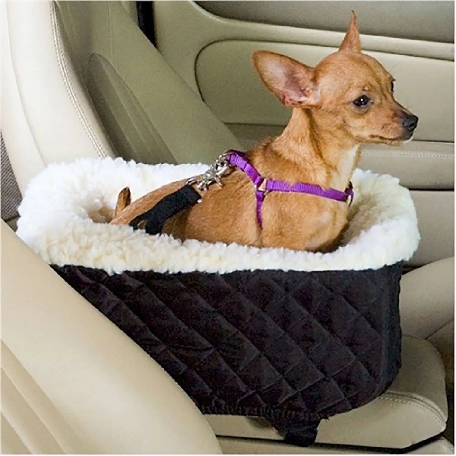 Auto Pup Lounge with Cushion — Car Safety Seat Pet Nest, Plush, Secure & Easy-Clean for Small Pets - petcareville