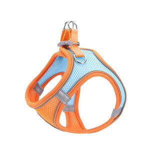 Reflective Pet Vest & Leash Combo — Breathable All-Season Harness with Safety Traction Rope, Adjustable Sizes - petcareville