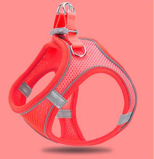 Reflective Pet Vest & Leash Combo — Breathable All-Season Harness with Safety Traction Rope, Adjustable Sizes - petcareville