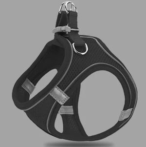 Reflective Pet Vest & Leash Combo — Breathable All - Season Harness with Safety Traction Rope, Adjustable Sizes