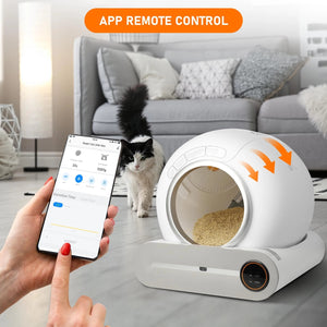 Automatic Cat Litter Box with App – Effortless Cleaning - petcareville