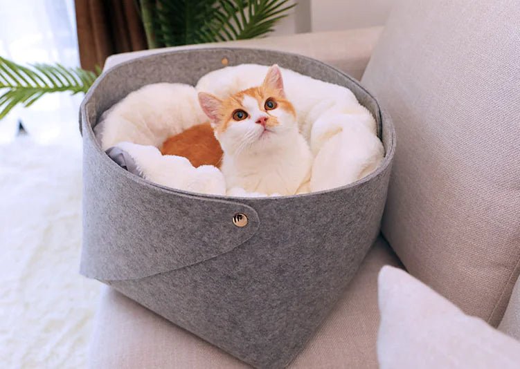 Snug Haven Pet Bed for Cats & Small Dogs — Plush Felt and Short Plush Cozy Nest, Sizes S & M - petcareville