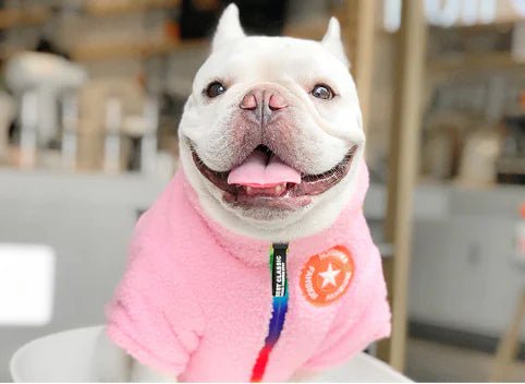 SnugPup Winter Coat — Warm Teddy Lamb Wool, England Design, Small Dogs & Cats, Adjustable L-3XL